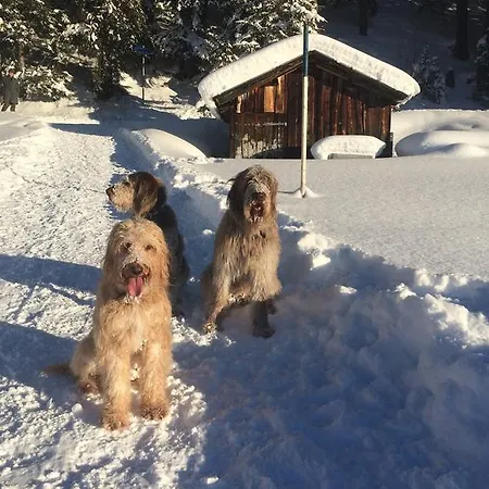 Muggengrat Bed & Breakfast